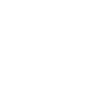 Austral Sur (blanco)