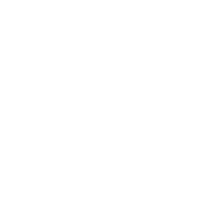 Thermicpro (blanco)