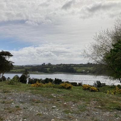 WhatsApp Image 2025-09-03 at 11.29.30 (2)