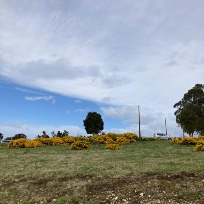 WhatsApp Image 2025-09-03 at 11.29.31 (1)