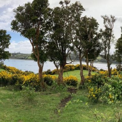 WhatsApp Image 2025-09-03 at 11.29.31 (3)