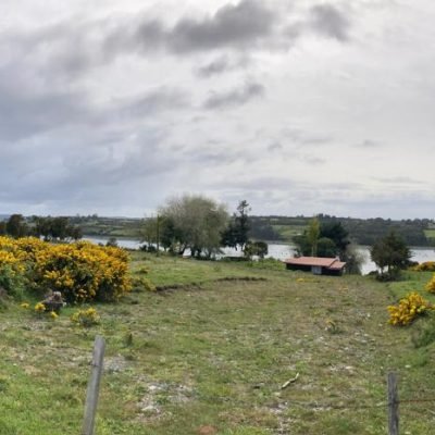 WhatsApp Image 2025-09-03 at 11.29.32 (1)