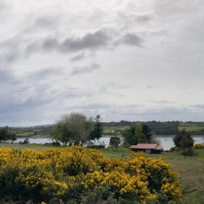 WhatsApp Image 2025-09-03 at 11.29.32 (2)